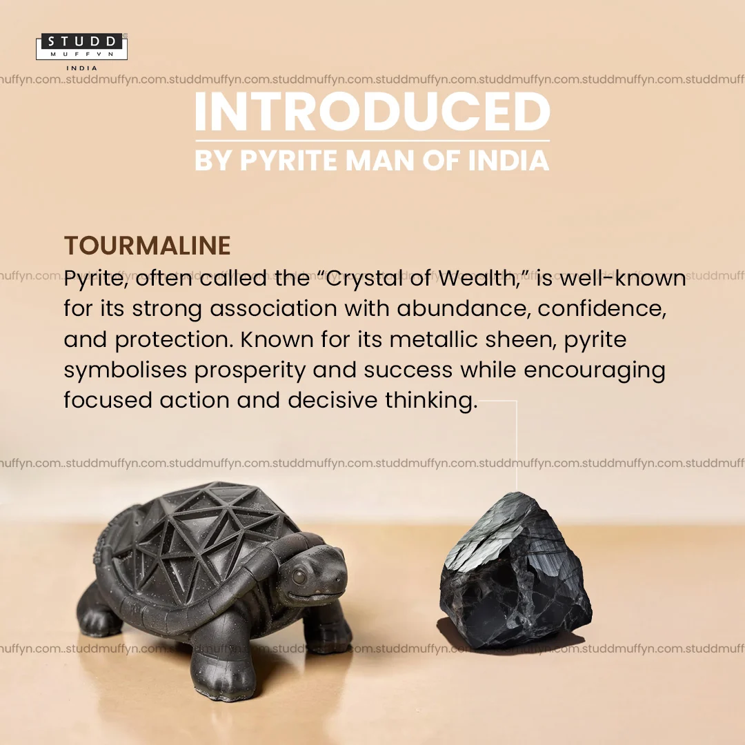 Tourmaline Tortoise For Wealth & Success - Image 3