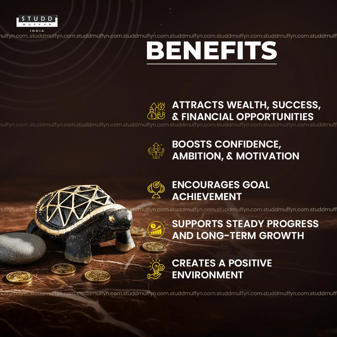 Pyrite Turtle - Image 3
