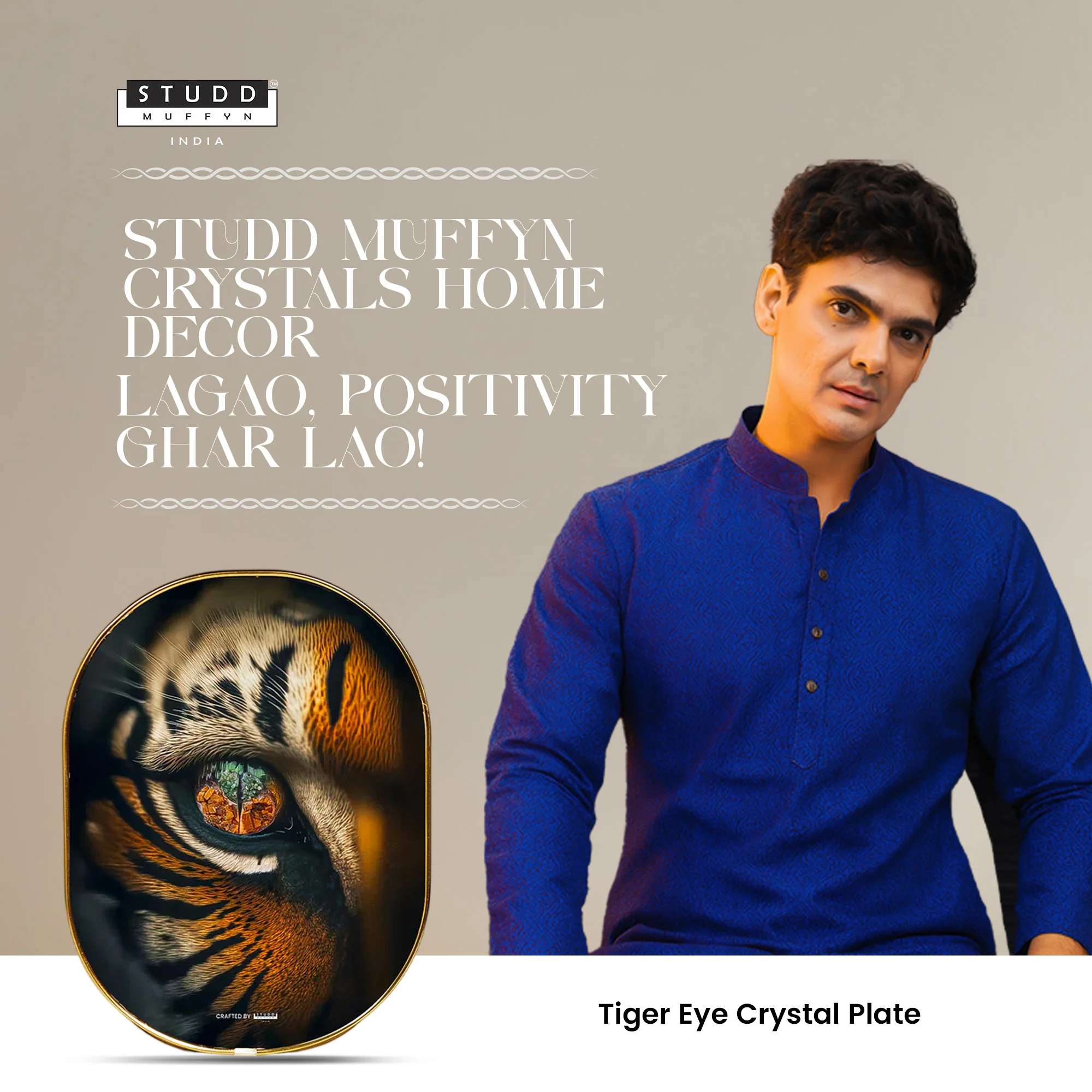 Tiger Eye Crystal Plate [Capsule Frame] - Image 5